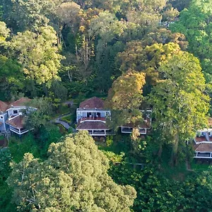**** Resor The Tall Trees India